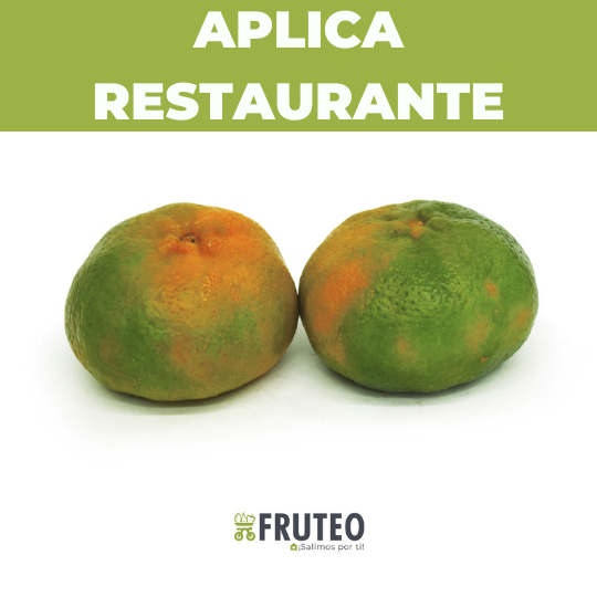 Fruteo frutas, verduras y hortalizas frescas y seleccionadas directamente del campo hasta tu casa. Somos un fruver digital con domicilios en Bogotá, Chia, Cajicá, Cota y Sopó. Directamente del campo, sin salir de casa. Paga seguro en nuestra pagina o contra entrega con dátafono. 