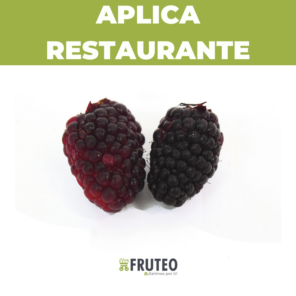 Fruteo frutas, verduras y hortalizas frescas y seleccionadas directamente del campo hasta tu casa. Somos un fruver digital con domicilios en Bogotá, Chia, Cajicá, Cota y Sopó. Directamente del campo, sin salir de casa. Paga seguro en nuestra pagina o contra entrega con dátafono.